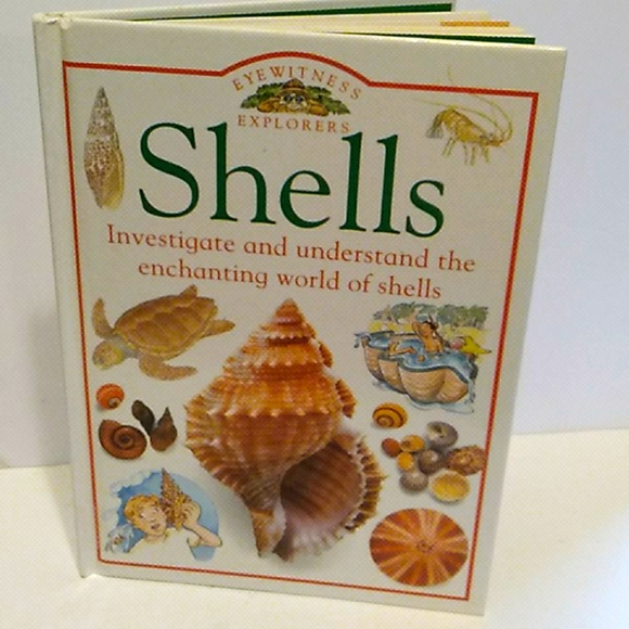 Other - Eyewitness Explorers Shells Book